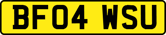 BF04WSU