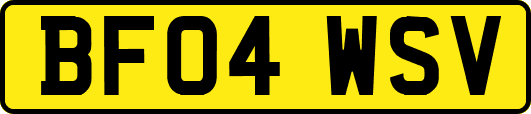 BF04WSV