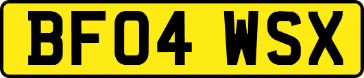 BF04WSX