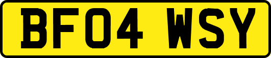 BF04WSY