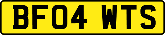 BF04WTS