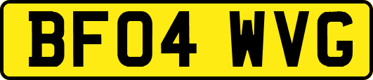 BF04WVG