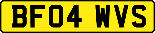 BF04WVS