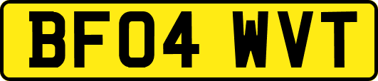 BF04WVT