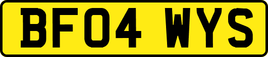 BF04WYS