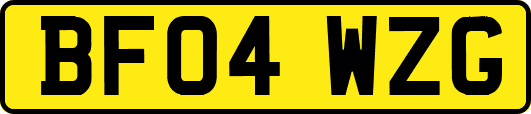 BF04WZG