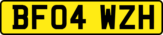 BF04WZH