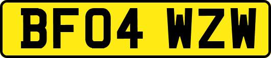 BF04WZW
