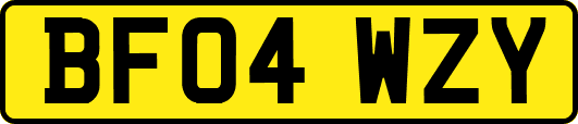 BF04WZY