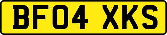 BF04XKS
