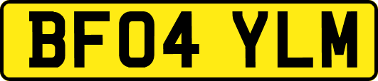 BF04YLM