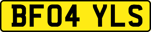 BF04YLS