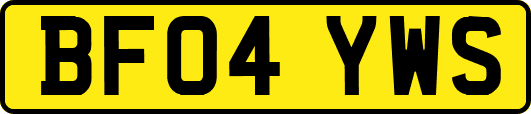 BF04YWS