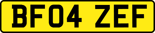 BF04ZEF