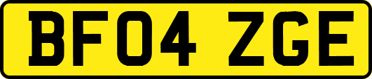 BF04ZGE