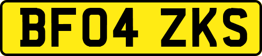 BF04ZKS