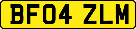 BF04ZLM