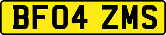BF04ZMS
