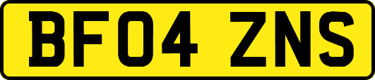 BF04ZNS