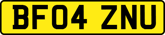BF04ZNU