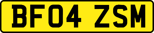 BF04ZSM