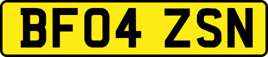 BF04ZSN