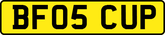 BF05CUP