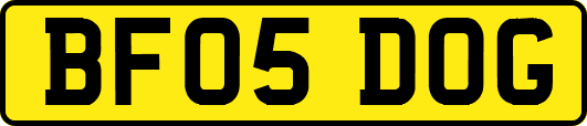 BF05DOG
