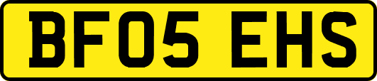 BF05EHS
