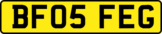 BF05FEG