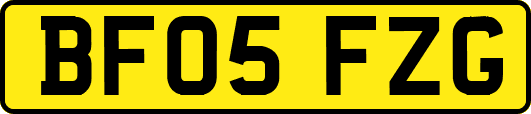 BF05FZG