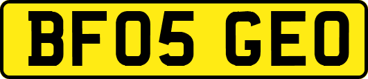 BF05GEO