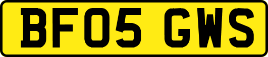 BF05GWS