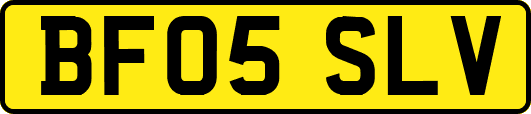 BF05SLV