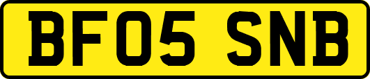 BF05SNB
