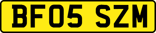 BF05SZM
