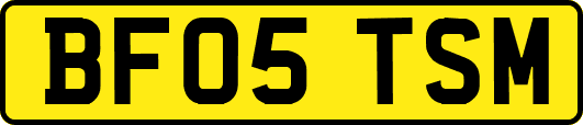 BF05TSM