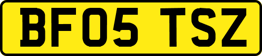 BF05TSZ