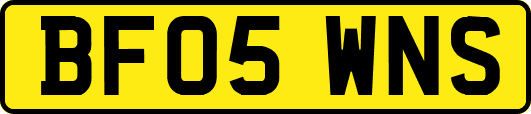 BF05WNS