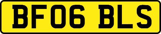 BF06BLS