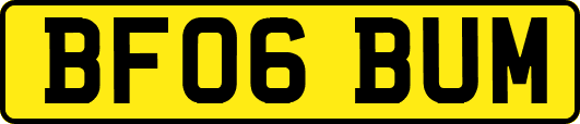 BF06BUM