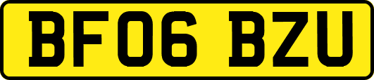 BF06BZU
