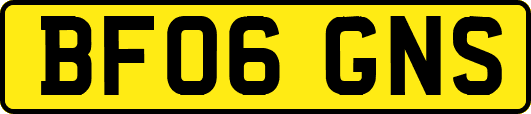 BF06GNS