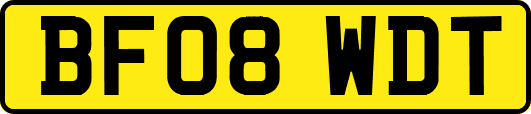 BF08WDT