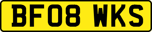 BF08WKS