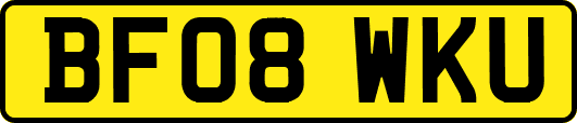 BF08WKU