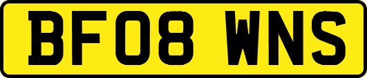 BF08WNS