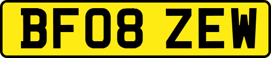 BF08ZEW