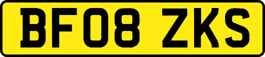 BF08ZKS