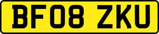 BF08ZKU